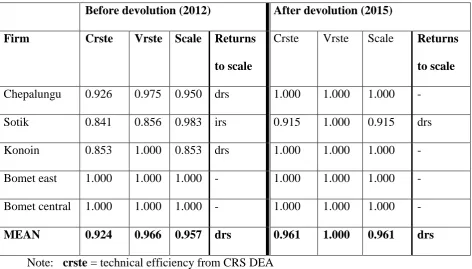 Table 4.1 Efficiency score summary 