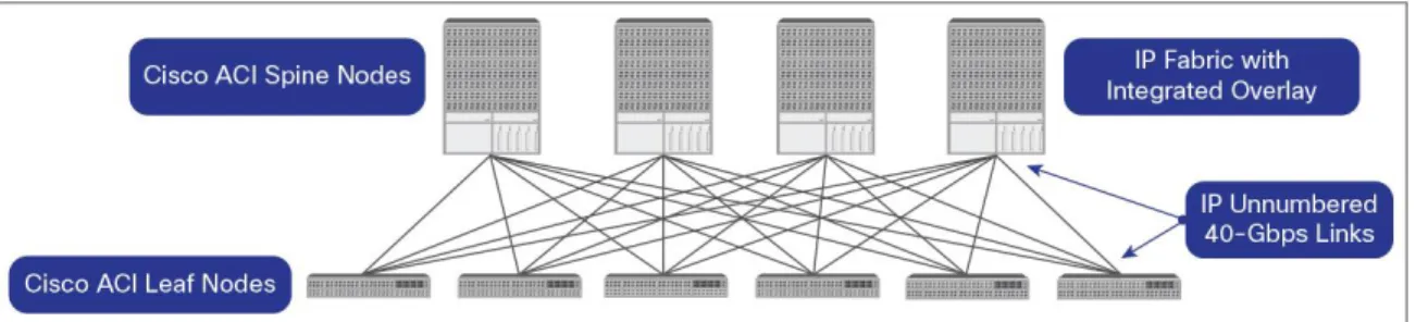 Figure 4.    Cisco ACI Fabric 