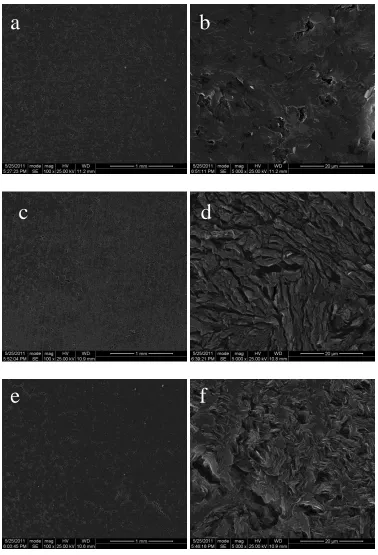 Figure 5. Scanning electron micrograph for graphites electrode before and after potentiostatic cathodic polarization: (a), (b) pristine; (c), (d)−0.9 V-10h; (e); (f)−1.0 V-10h