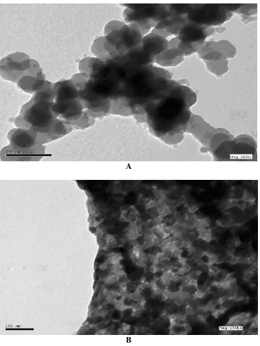 Figure 4.  TEM images for (a) Z1 and (b) Z3 specimens. 