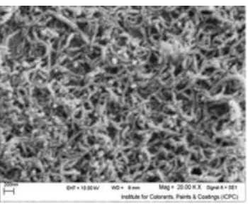 Figure 1. SEM image of the MWCNT-film modified GCE. 