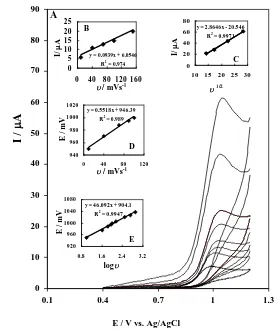 Figure 4.  (A) Cyclic voltammetric responses of 1mM Sg at MWCNT-GCE (B-R buffer (pH= 6.0)) at scan rates, (inner to outer) 10, 40, 70, 100, 150, 300, 500, 800 mVs-1