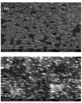 Figure 1. The FE-SEM micrograph of the (a) Pt/Au/GC and (b) Au/Pt/GC modified electrodes (magnification: 160,000 x) 