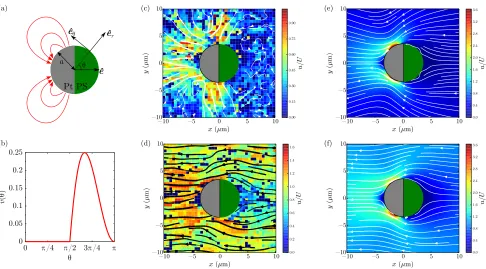 FIG. 1. (a) Sketch of the Pt-PS Janus particle and notations. ˆeused to compute analytically the ﬂow ﬁeld around the Janus particle, which is compared with the experimental observations.(c)-(f) Streamlines around the Janus particles obtained experimentally