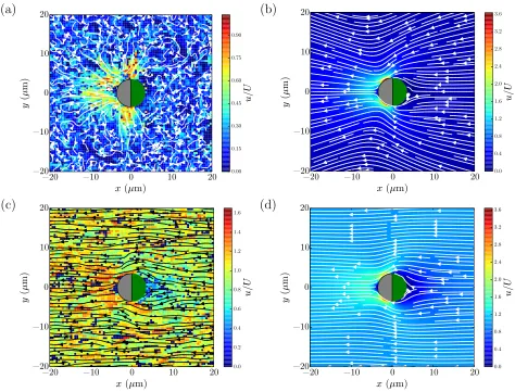 FIG. S1. Zoomed-out version of Fig. 1. (a)-(d) Streamlines around the Janus particles obtained experimentally (left) andanalytically (right), in the two situations where the particle is stuck (top) and freely moving (bottom)