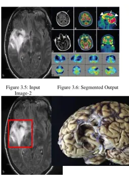 Figure 3.5: Input Image-2 