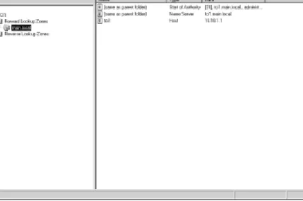 Figure 6-7: DNS MMC
