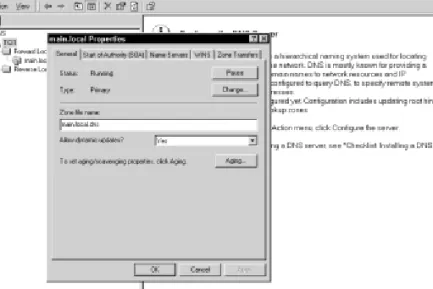 Figure 6-10: Domain properties