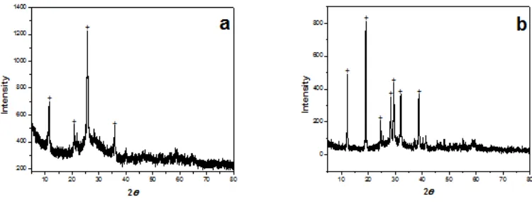 Figure 1 X-ray diffractogram of: (a)TiPh and (b) TiPhAgHCF 