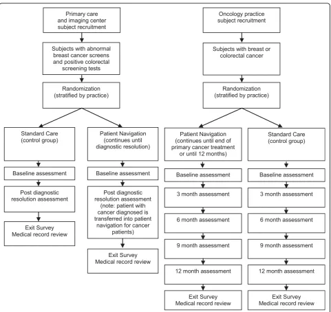 Figure 2 Diagram of Patient Flow through the Clinical Trial