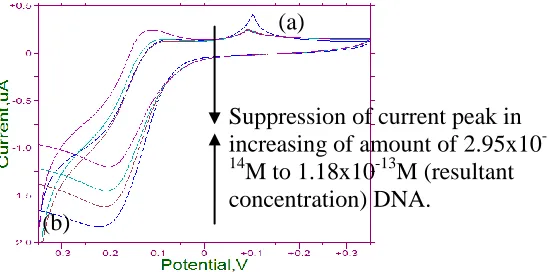Figure 8. Linear graph of HVRDE using Koutecky-Levich equation. 