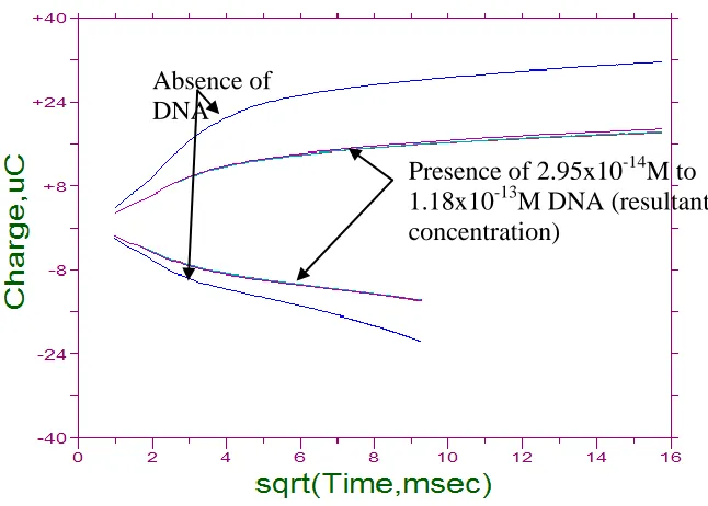 Figure 10. Chronocoloumetry of 1mM [Cu(phen)(edda)]·5H2O solution with 2.95x10-14M to 1.18x10-13M (resultant concentration) DNA using glassy electrode as working electrode and 0.1M KH2PO4 as supporting electrolyte