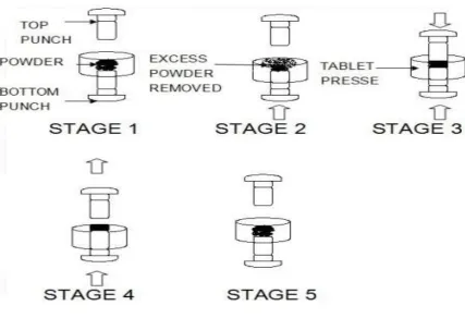 Figure 1: Stages Occurring During Compression 