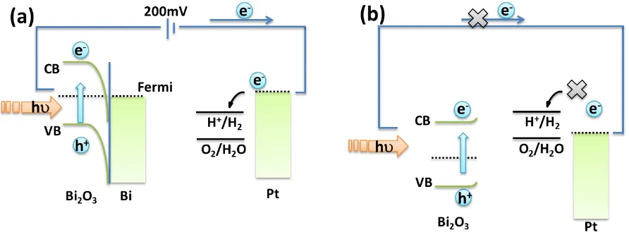 Figure 4.  Schematic representation with energy diagrams of the Bi/Bi2O3 electrode (a) and Bi2O3 electrode (b)