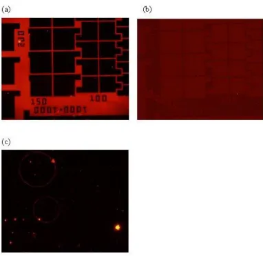 Figure 3.  (a) The sample has previously assembled linkers of APTES and glutaraldehyde