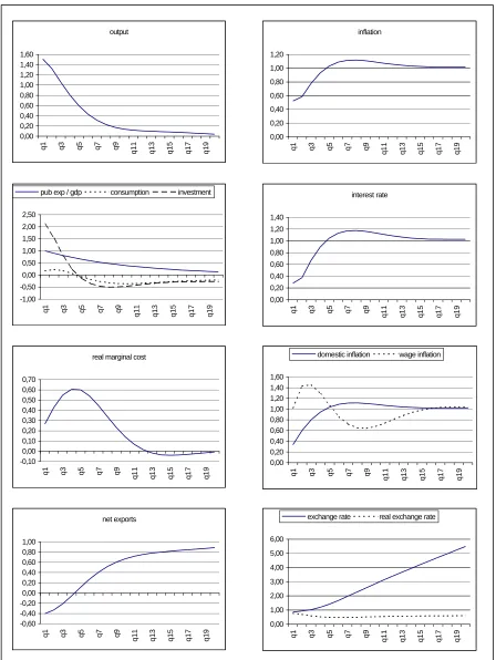 Figure 3 - Impulse-response function of a demand shock (public expenditures)under an accommodating monetary policy following a simple inflation instrument rule