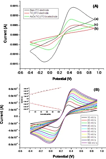 Figure 3.  Cyclic voltammogram of (A) bare ITO electrode (a); Nano-TiO2/ITO electrode (b); AsOx/Nano-TiO2/ITO bioelectrode (c)  at 50 mV/s in PBS containing 50mM Fe[(CN)6]3−/4−  buffer; (B) CV of AsOx/Nano-TiO2/ITO bioelectrode at different scan rate (10–1