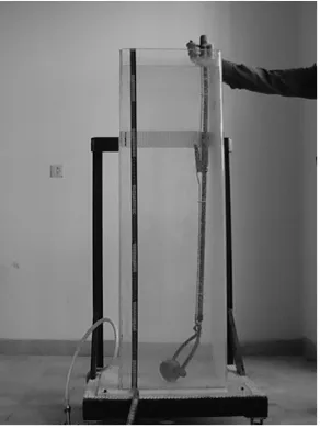 Fig. 2. Water column for determination of hydrodynamic proper-ties. An apple on the bottom of the water column, prepared to bereleased.