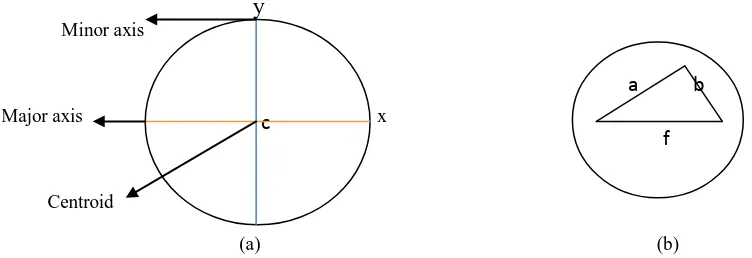Fig 3.8. Structure of major axis and minor axis of an ellipse  