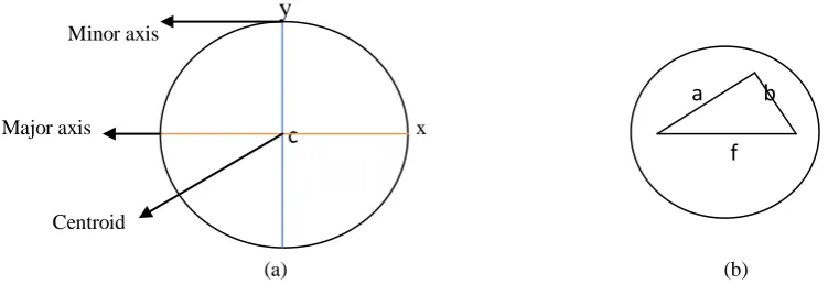 Fig 3.8. Structure of major axis and minor axis of an ellipse  