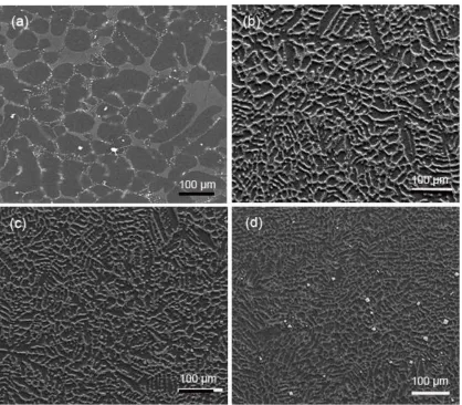 Figure 1. SEM micrographs of the different state Mg-Y alloys, (a) AC-Mg-Y; (b) HP-650-Mg-Y; (c) HP-750-Mg-Y; (d) HP-850-Mg-Y