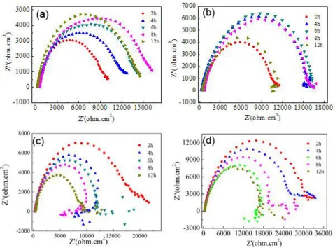 Figure 5.  EIS curves in SBF after different immersion time, (a) AC-Mg-Y; (b) HP-650-Mg-Y; (c) HP-750-Mg-Y; (d) HP-850-Mg-Y