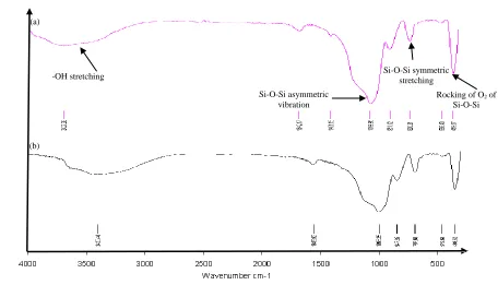Figure 4.  FTIR spectra for silica particles produced at different NH3/EtOH ratio: (a) 1.00 and (b) 0.25  