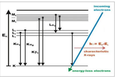 Figure 2.9: Possible electron transitions generating X-rays (Krumeick, 2011).  