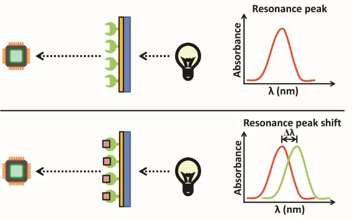 Figure 1.7. Analyte binding causes a shift in wavelength of absorbance position in 