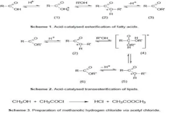 Figure 1. : The mechanism decomposition of triglycerides [11] 