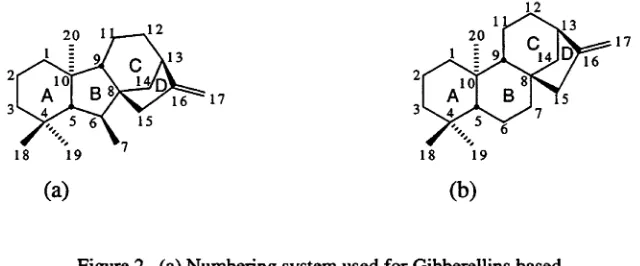 Figure 2. (a) Numbering system used for Gibberellins based 