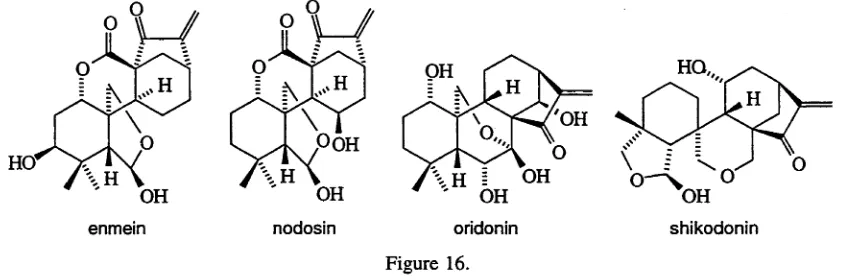 Figure 16.By starting with a C2o-gibberellin, most of the skeletal requirements for the above 