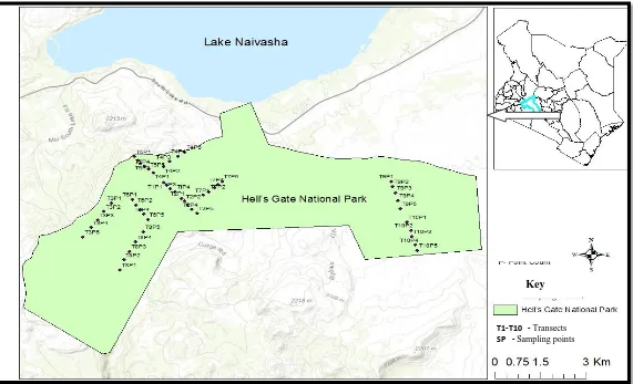 Figure 3.1. Map of Kenya shows study area with 50 sampling points along 10 line-transects within Hell’s Gate National Park, Nakuru County
