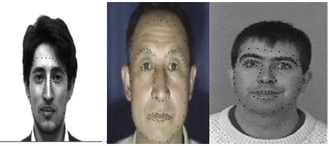 Figure 1.5 Sample images for each dataset: (a) Yale dataset (b) CASIA dataset (c) FERET dataset