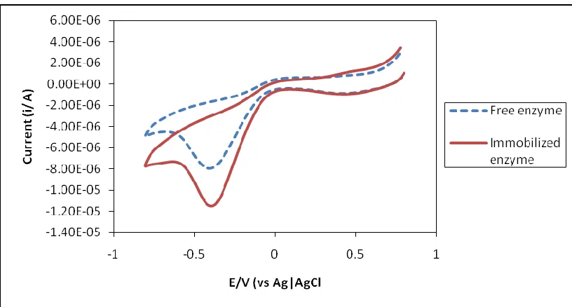 Figure 2.  Redox reaction of free and immobilized enzyme by using CV (-1 to 1 volt) in the present of formaldehyde  