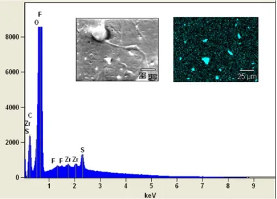 Figure 2.  SEM images of composite membrane. 