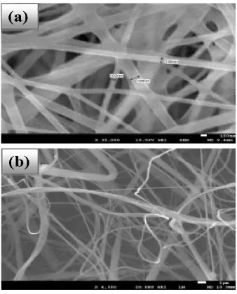 Figure 2. SEM images for (a) PVA and (b) PVC electrospun fiber coated over Aluminum substrates