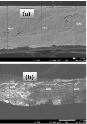 Figure 3.  SEM micrographs of (a) PVA and (b) PVC electrospun fiber film over aluminum substrate (Side View)