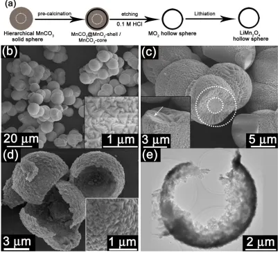 Figure 3. (a) Schematic illustration of the formation of HS-LMO, SEM images of (b) MnCO3 microspheres prepared by the precipitation method, the inset shows the outer surface of a microsphere, (c) a cross-sectional view of MnCO3 microsphere, the inset shows