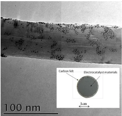 Figure 7. Transmission electron microscopy of capped-Pt on CNT. The insert show a macroscopic view of the electrode