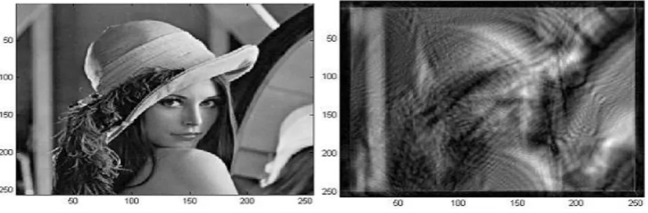 Figure 5.7 Input image of size 256*256                                  Figure 5.8 Transformed image 