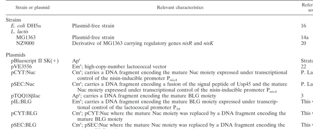 TABLE 1. Bacterial strains and plasmids used in this study