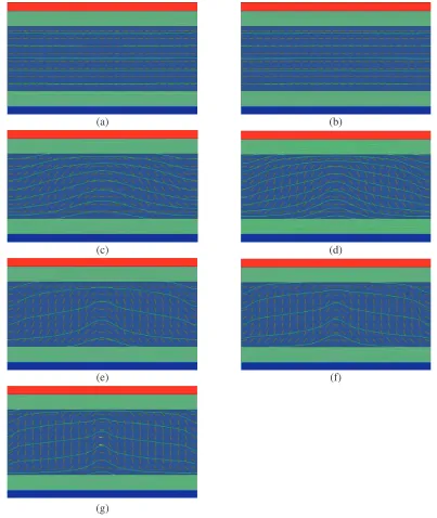 Figure 5. The orientation of LC molecules to the applied bias voltage: (a) to (g) for the bias voltagefrom 0 to 7 Volts.