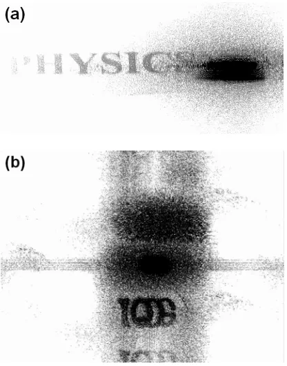 Figure 4.  Holograms of (a) transmission object; (b) reflection object (speckle).  