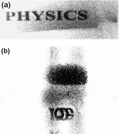 Figure 8.  Reconstruction of holograms using Four-quarter phase shifting: (a) Transmission object; (b) Reflection object