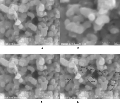 Figure 1.  SEM morphologies of TiO2NPs  with different magnifications (a - d)  