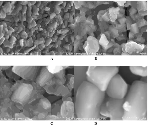 Figure 2.  SEM morphologies of  NiHCF@TiO2 with different magnifications(a - d) 