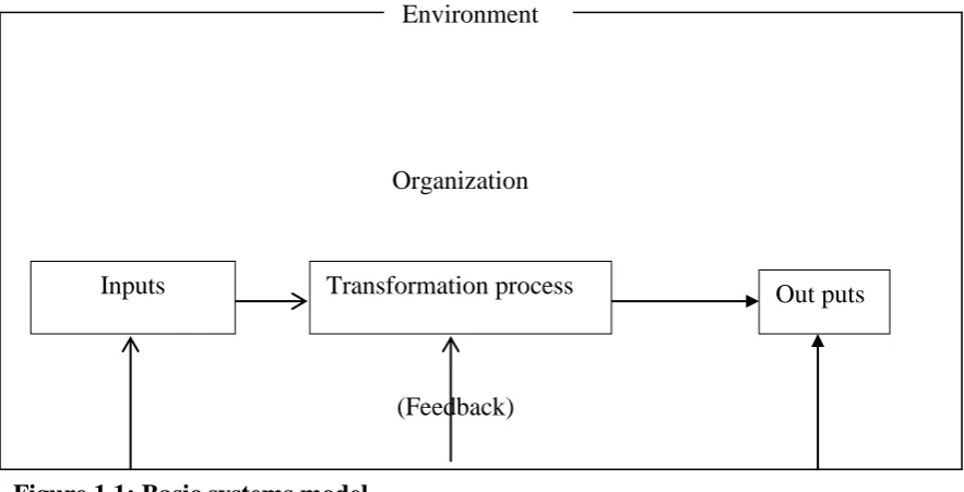 Figure 1.1: Basic systems model 
