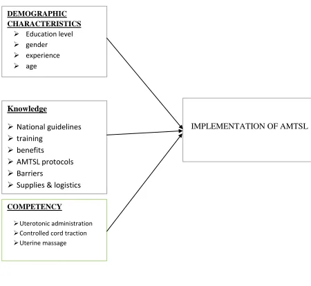 Figure 1: Conceptual Framework  