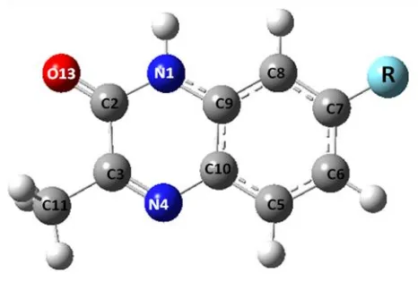 Figure 1.  The 7-R-3-methylquinoxalin-2-one ring (R=CH3; H; Cl) 